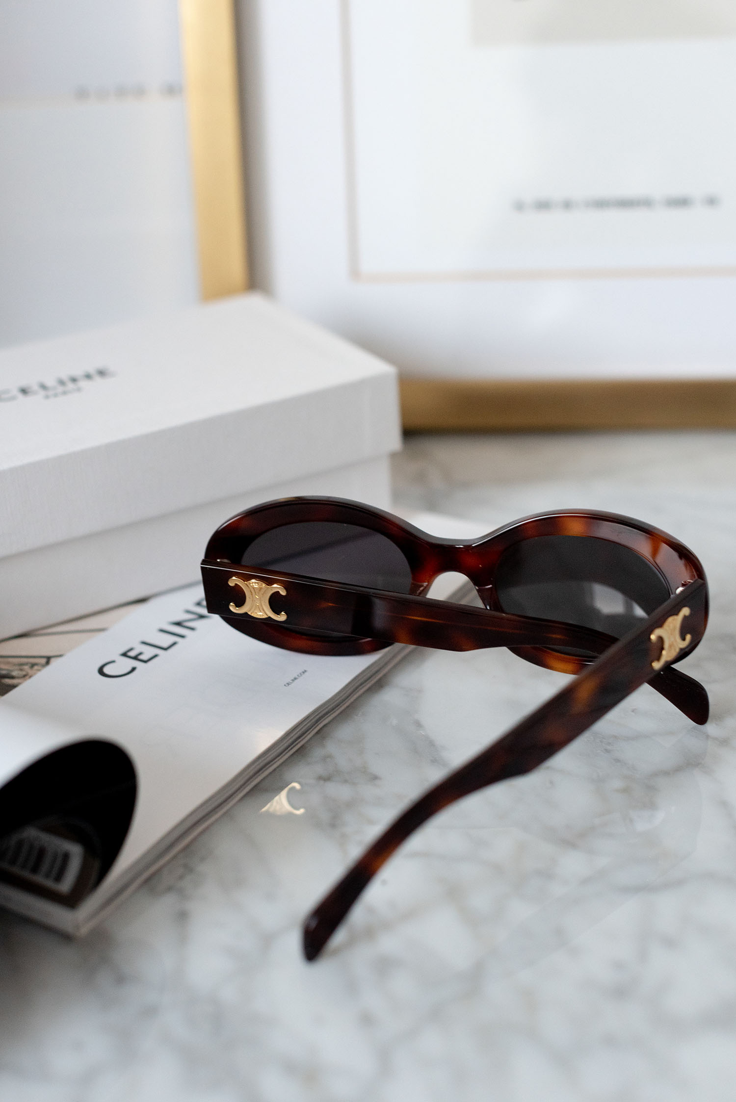 https://www.cocoandvera.com/wp-content/uploads/2023/03/coco-and-vera-top-paris-fashion-blog-top-french-fashion-blog-top-blogger-celine-triomphe-sunglasses-tortoise.jpg